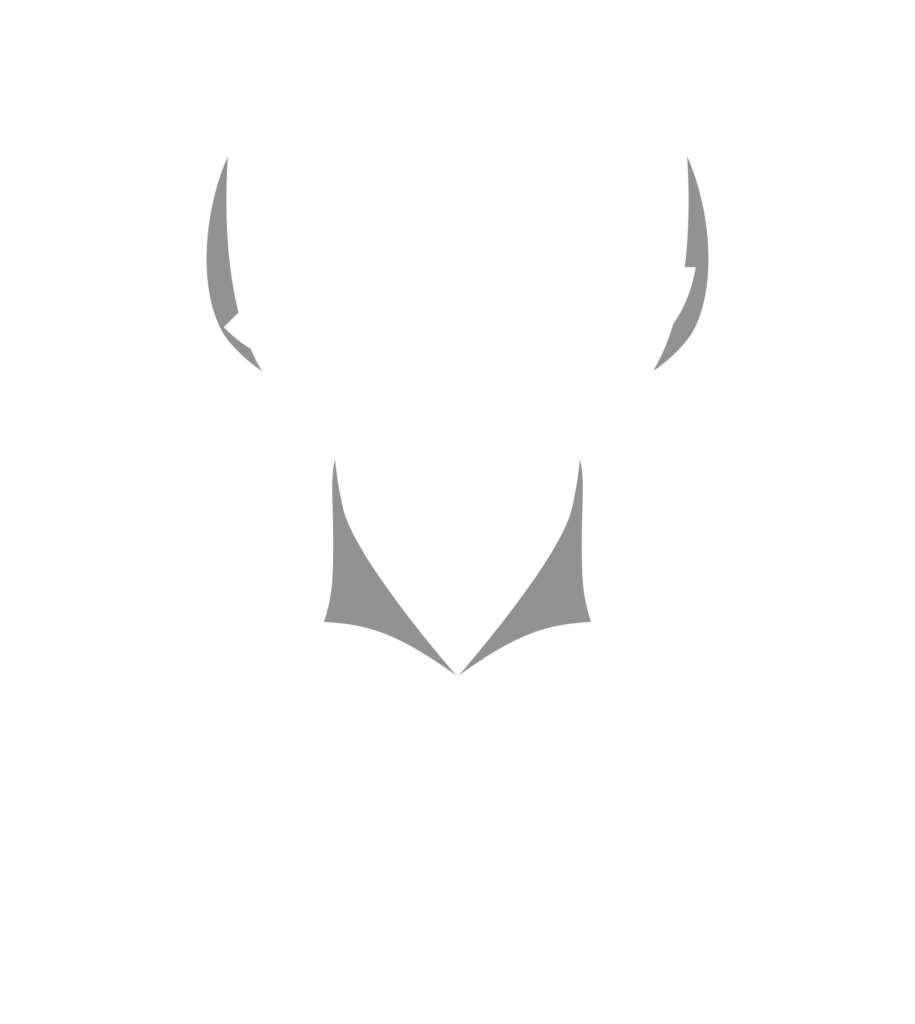 logo safe cargo